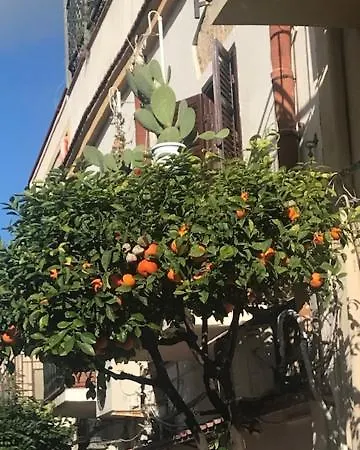 Lejlighed Nonna Maria 1 Or 2 Terrasini